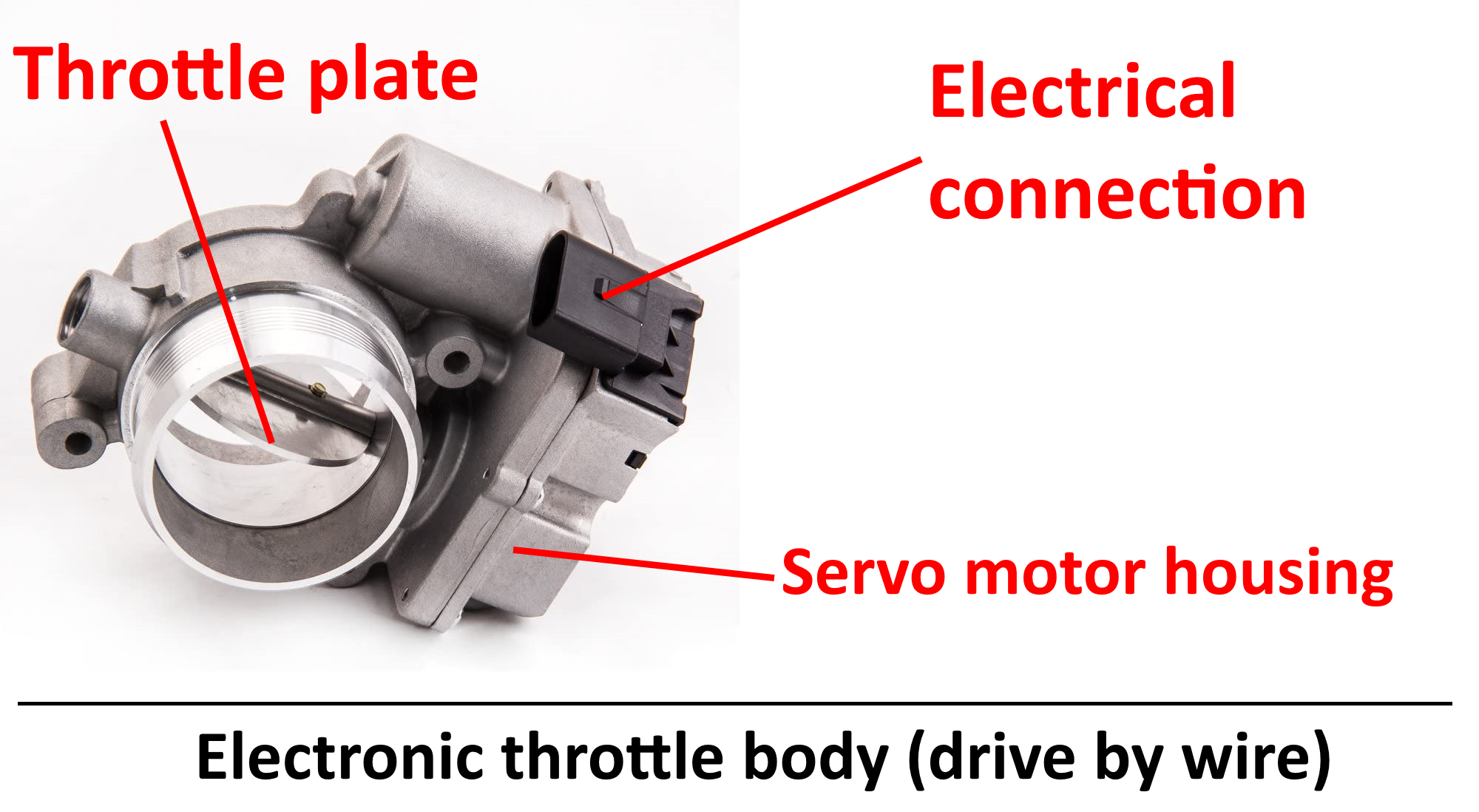 Throttle Body Buyer’s Guide MaXpeedingRods Blog